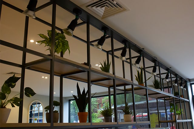 Office Shelf with Plants
