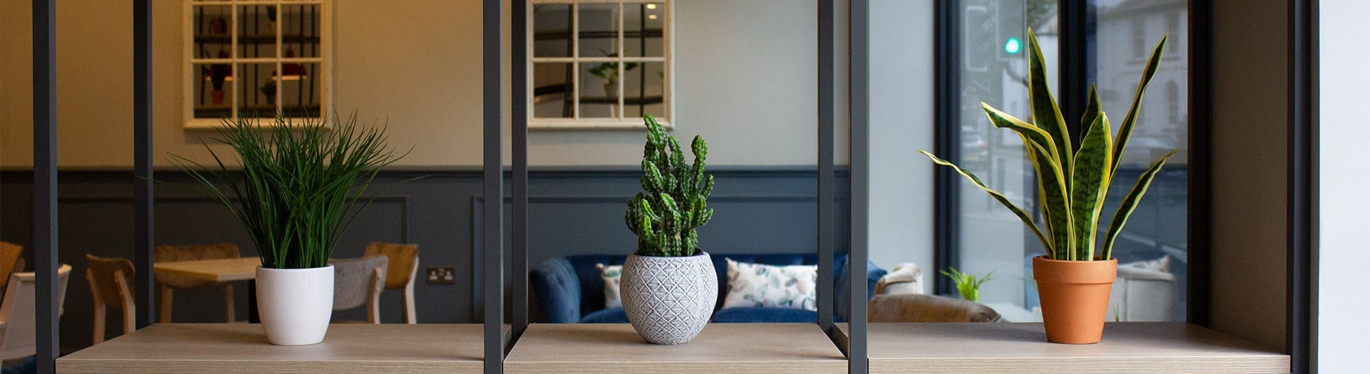 Decorative Office Shelf